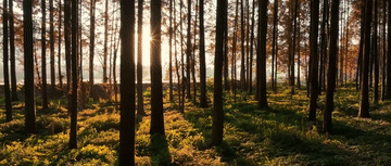 微视频｜让大地山川绿起来