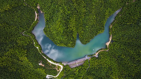 杭州余杭区构建完善森林生态保护体系成效显著