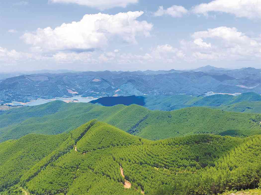 广西雅长林场探索森林可持续发展新模式