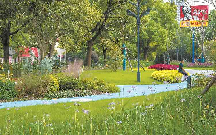 上海推进单位附属绿地开放共享 让绿色空间无界融合