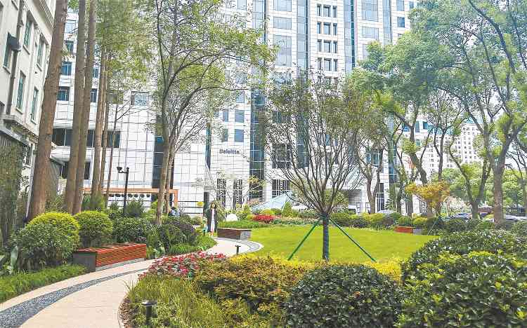 上海推进单位附属绿地开放共享 让绿色空间无界融合
