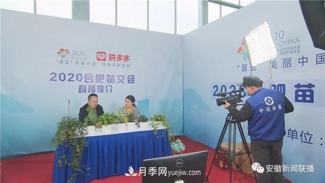 2600多种精品苗木花卉亮相2020合肥苗交会(图3) 2600多种精品苗木花卉亮相2020合肥苗交会(图3)