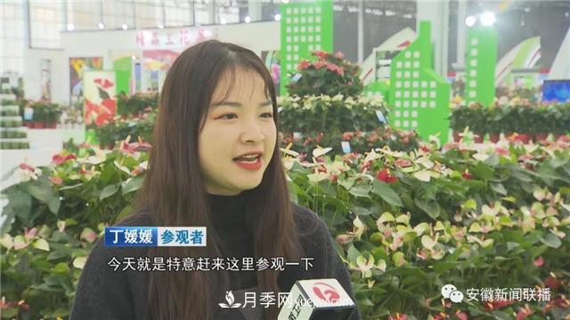 2600多种精品苗木花卉亮相2020合肥苗交会(图2) 2600多种精品苗木花卉亮相2020合肥苗交会(图2)