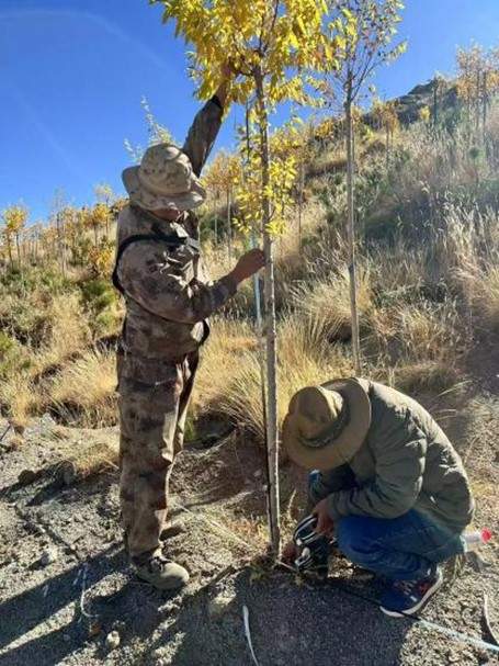 国家林草局赴西藏开展南北山绿化工程验收 助力生态修复建设