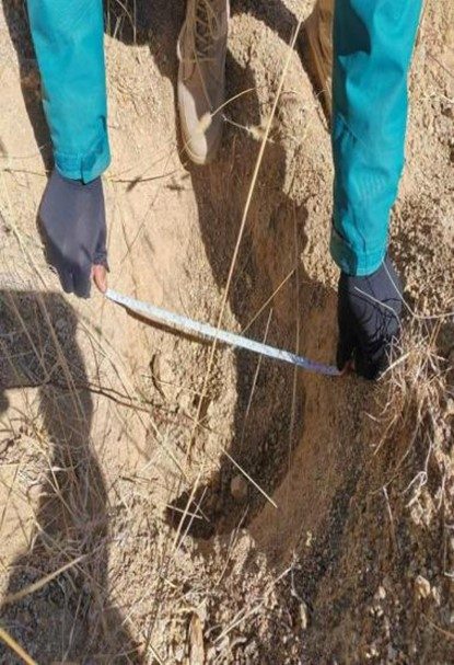 国家林草局赴西藏开展南北山绿化工程验收 助力生态修复建设