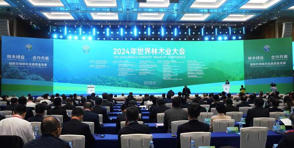 我国森林覆盖率超25% 年碳汇量达12亿吨以上