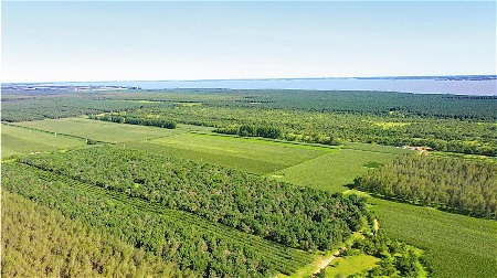 黑龙江杜尔伯特60年治沙造林奇迹 沙漠变绿洲的生态逆袭 黑龙江杜尔伯特60年治沙造林奇迹 沙漠变绿洲的生态逆袭