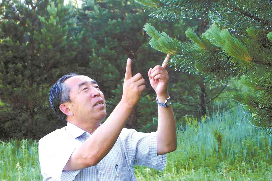 视树如命的守护者王树清:从副县长到义务护林员的绿色传奇 视树如命的守护者王树清:从副县长到义务护林员的绿色传奇