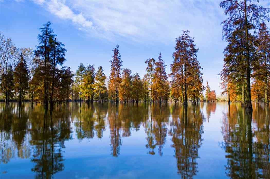 探访滁州琅琊山四时之景：从林长制到生态富民的绿色实践