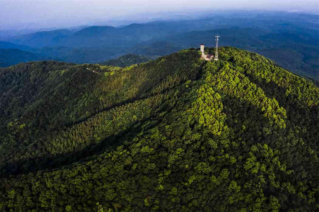 探访滁州琅琊山四时之景：从林长制到生态富民的绿色实践