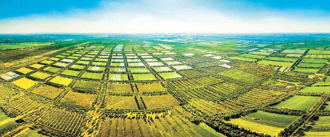 敖汉旗小河西遗址:从生态破坏到林网纵横的万年变迁 敖汉旗小河西遗址:从生态破坏到林网纵横的万年变迁