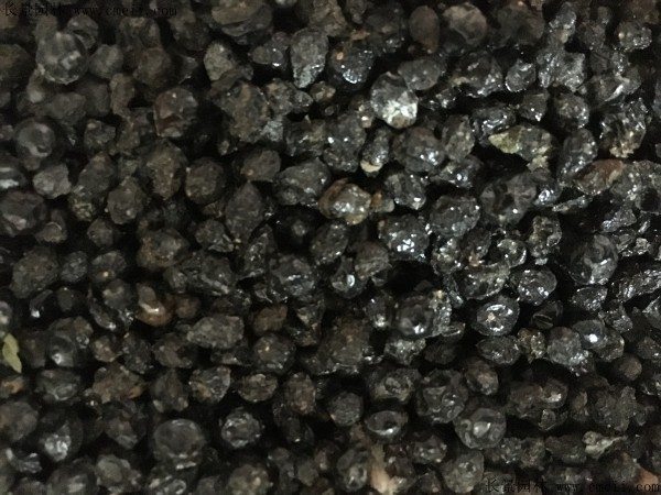 五色梅种子图片