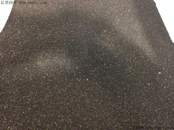 金鱼草种子图片