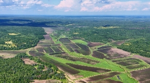 龙江森工通北局公司：增厚绿色家底 绘就幸福画卷