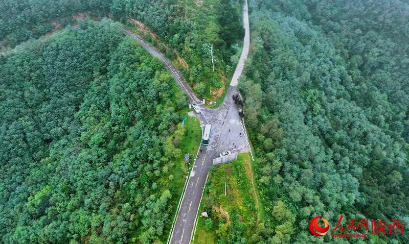 陕西护林之“变” 陕西护林之“变”