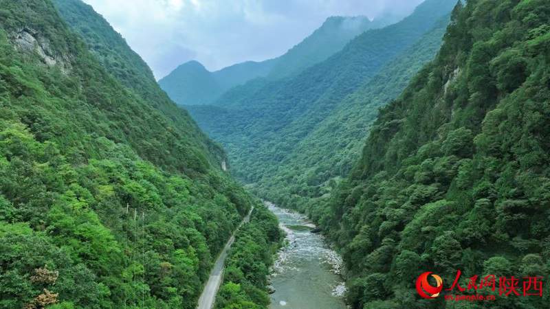 陕西护林之“变” 陕西护林之“变”