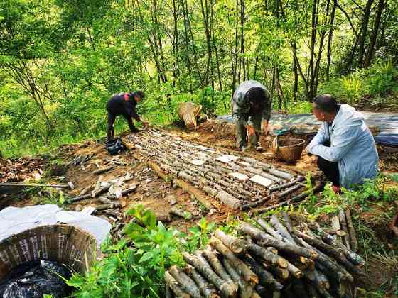 陕西护林之“变” 陕西护林之“变”