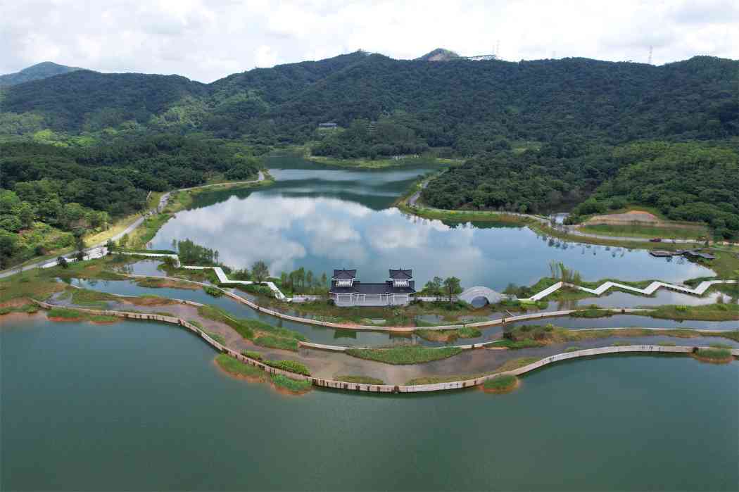 广东广州迳下村:从荒村僻壤变成绿美示范 广东广州迳下村:从荒村僻壤变成绿美示范