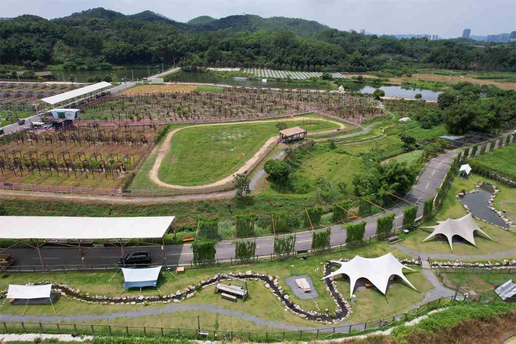 广东广州迳下村:从荒村僻壤变成绿美示范 广东广州迳下村:从荒村僻壤变成绿美示范