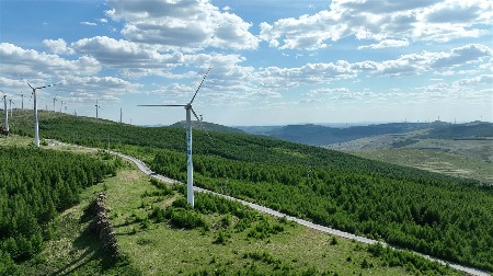 张家口防沙治沙成效显著 沙化土地面积持续缩减