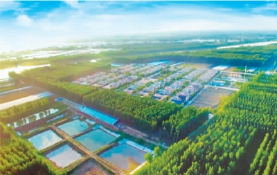 山东太平新村治沙造林实践 绿色转型助力乡村振兴 山东太平新村治沙造林实践 绿色转型助力乡村振兴