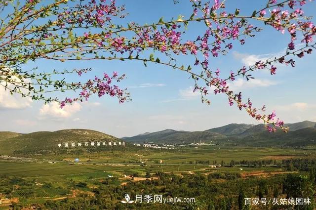 安徽淮北旅游，9个必去的景点盘点(图1)