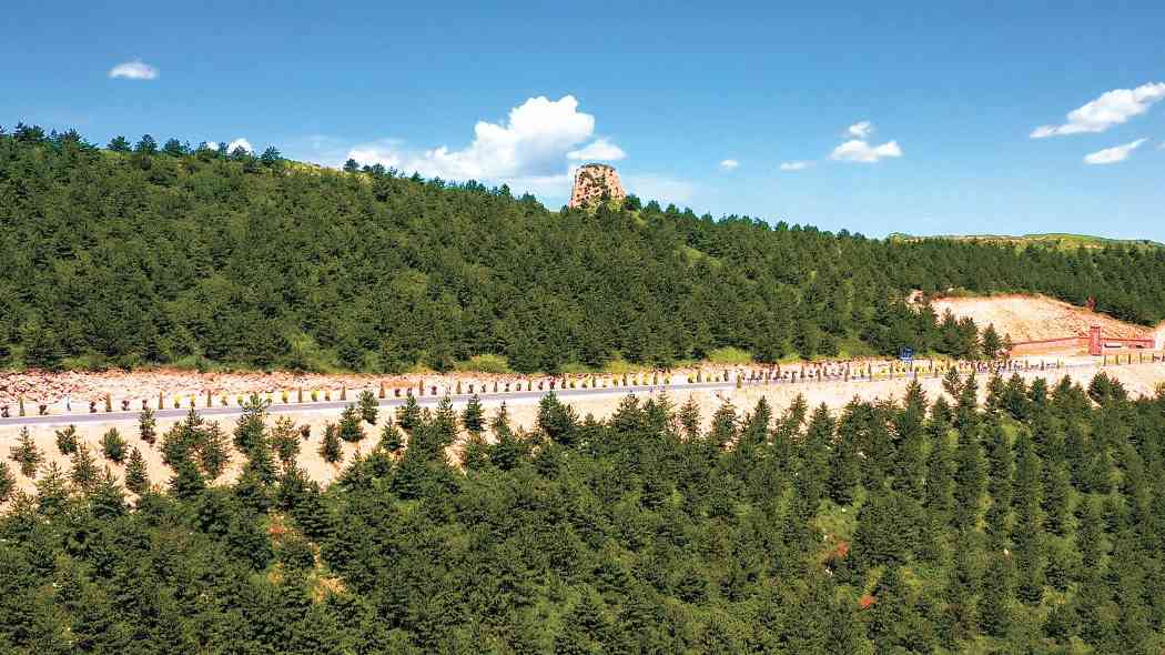 逐绿奋进筑牢绿色长城——山西省推进“三北”工程建设纪实