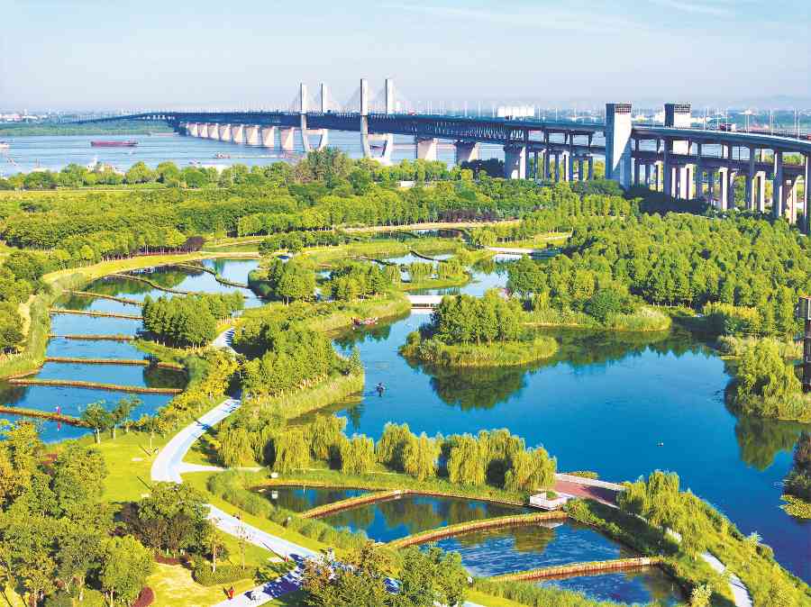 安徽芜湖水生态公园绿意盎然 安徽芜湖水生态公园绿意盎然