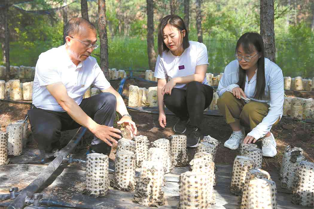 陆文生：治沙急先锋 绿富领头人