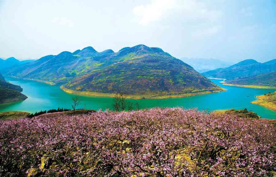 贵州安顺:百万亩茫茫石海何以绿浪翻滚? 贵州安顺:百万亩茫茫石海何以绿浪翻滚?