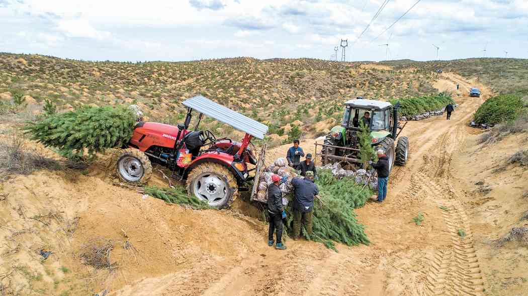 陕西全力推进黄河"几字弯"防沙治沙攻坚