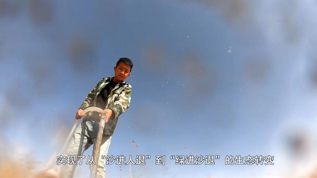 民勤治沙新模式：青少年助力荒漠变绿洲