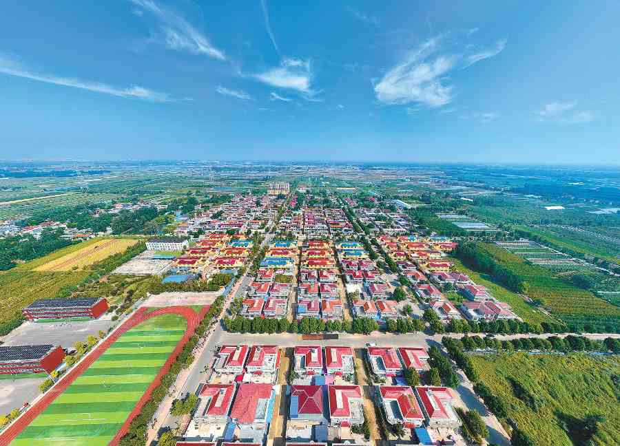 两代书记治沙种果 冠县田马园村走出脱贫路