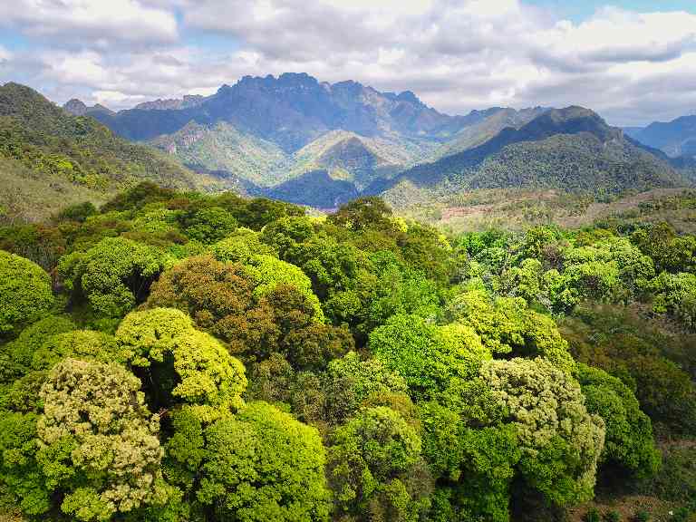 广东省石漠化防治成效显著 集成五大模式推动生态转型