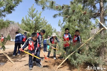 青海国土绿化拓展生态版图 村村通绿色长廊初现
