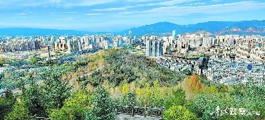 青海国土绿化拓展生态版图 村村通绿色长廊初现