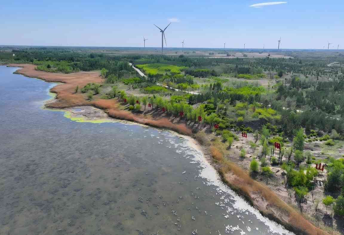 西辽河生态复苏的奇迹：重现碧波与人鸟共栖新篇章