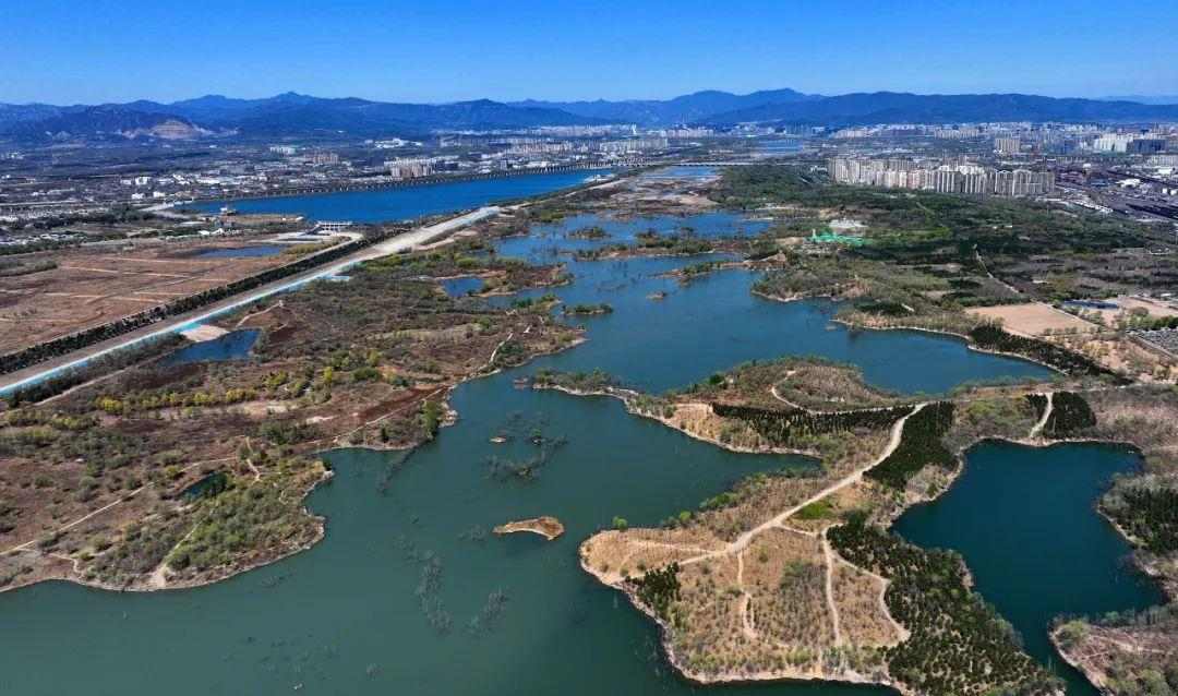 总书记强调绿化祖国战略：提质兴业利民助建美丽中国