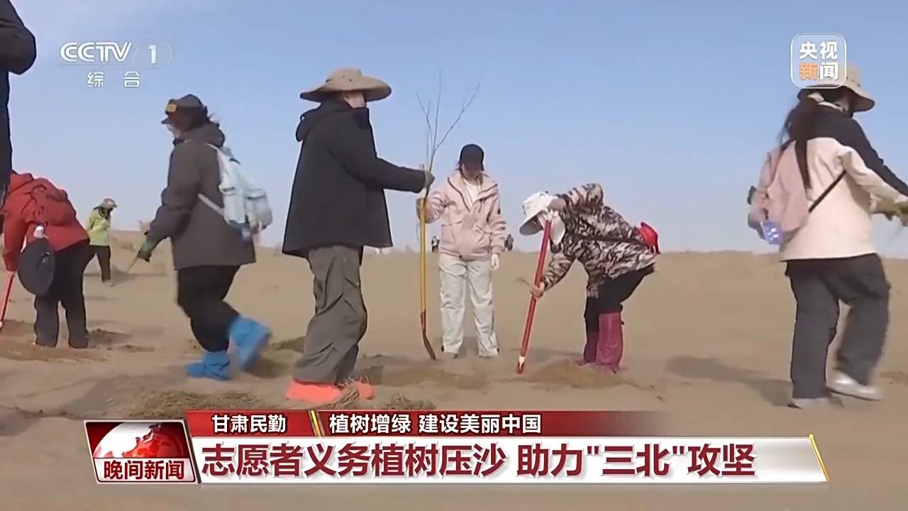 中国植树造林创新模式推动生态建设稳步发展