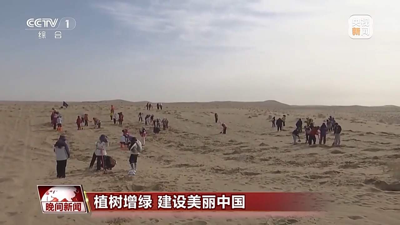 中国植树造林创新模式推动生态建设稳步发展