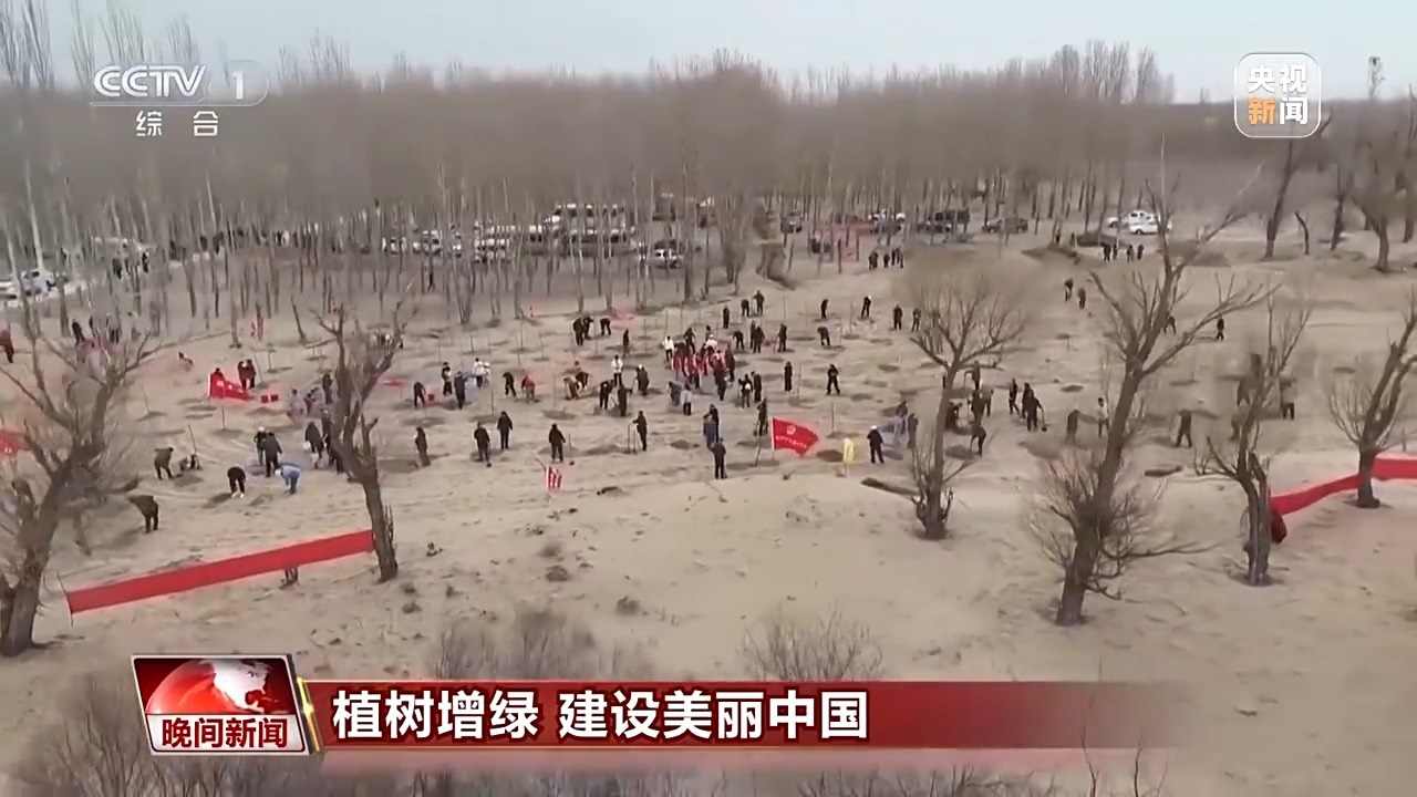 中国植树造林创新模式推动生态建设稳步发展