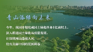 植树造林彰显生态文明建设力量