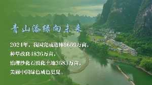 植树造林彰显生态文明建设力量