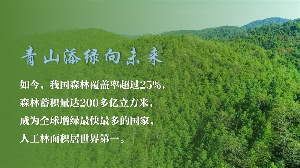 植树造林彰显生态文明建设力量