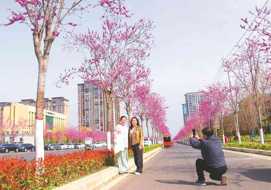 �鄢陵县春日花海绽放 生态之美引游客驻足