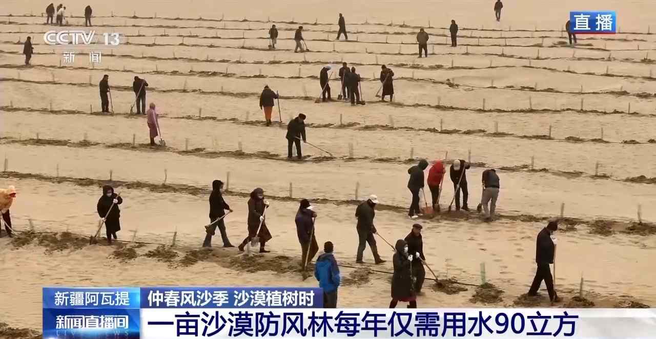 新疆塔克拉玛干沙漠防沙治林技术创新与生态效益