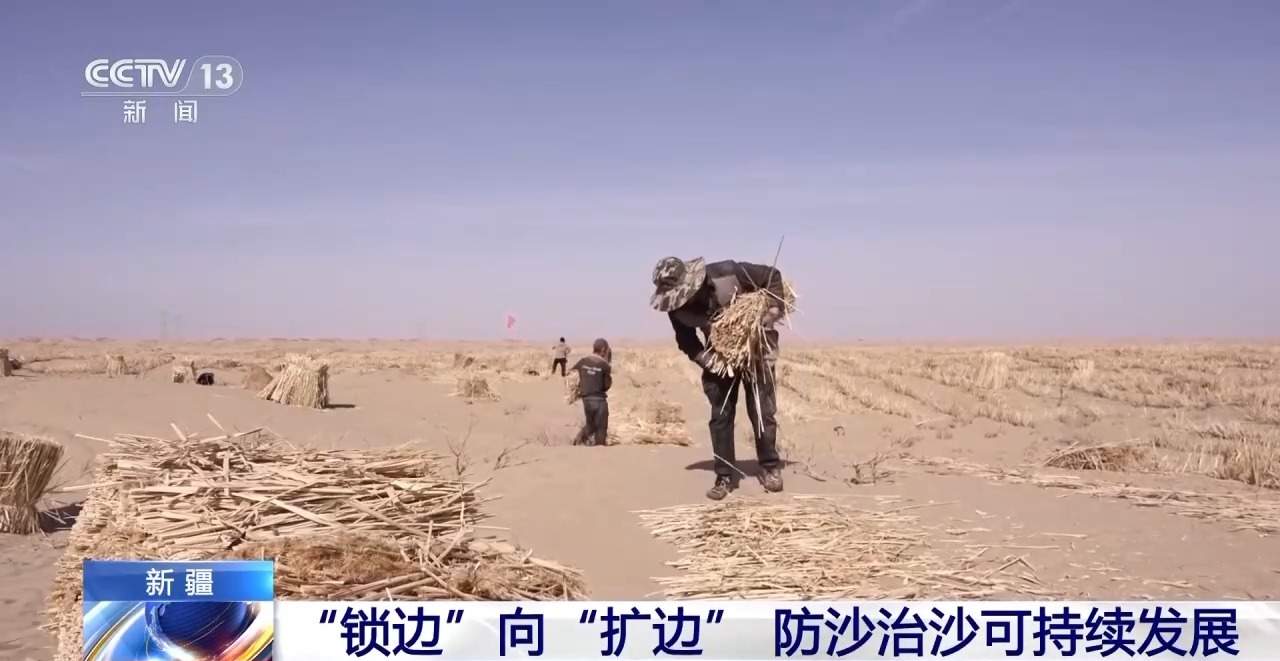 新疆塔克拉玛干沙漠防沙治林技术创新与生态效益