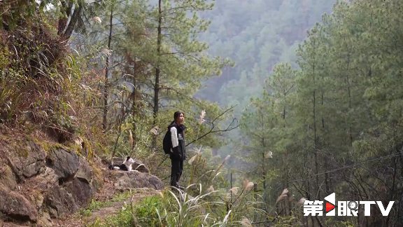 重庆林长制推动生态守护与绿色产业协同发展