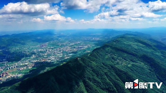 重庆林长制推动生态守护与绿色产业协同发展