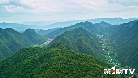 重庆林长制推动生态守护与绿色产业协同发展